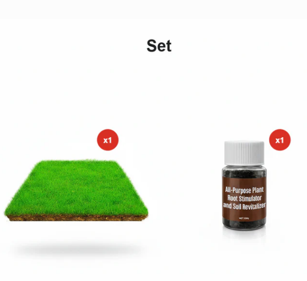 🌱 Cold-resistant, drought-resistant, pet-friendly garden grass seeds - evergreen lawn grass seeds